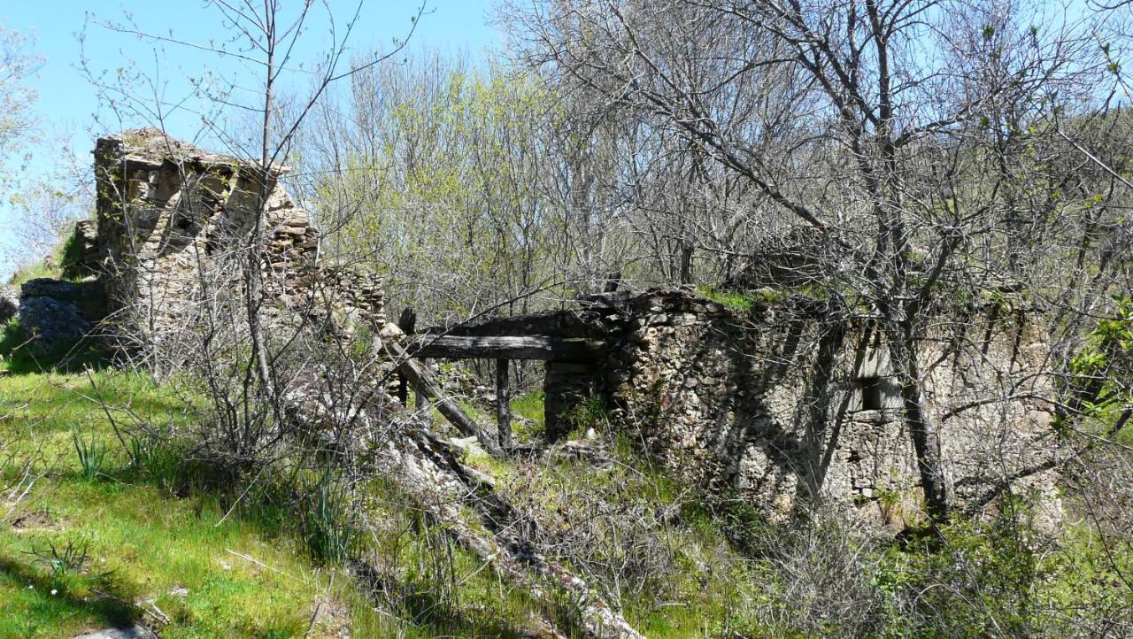 El Huerto De Leon Villa Pradena del Rincon Екстериор снимка