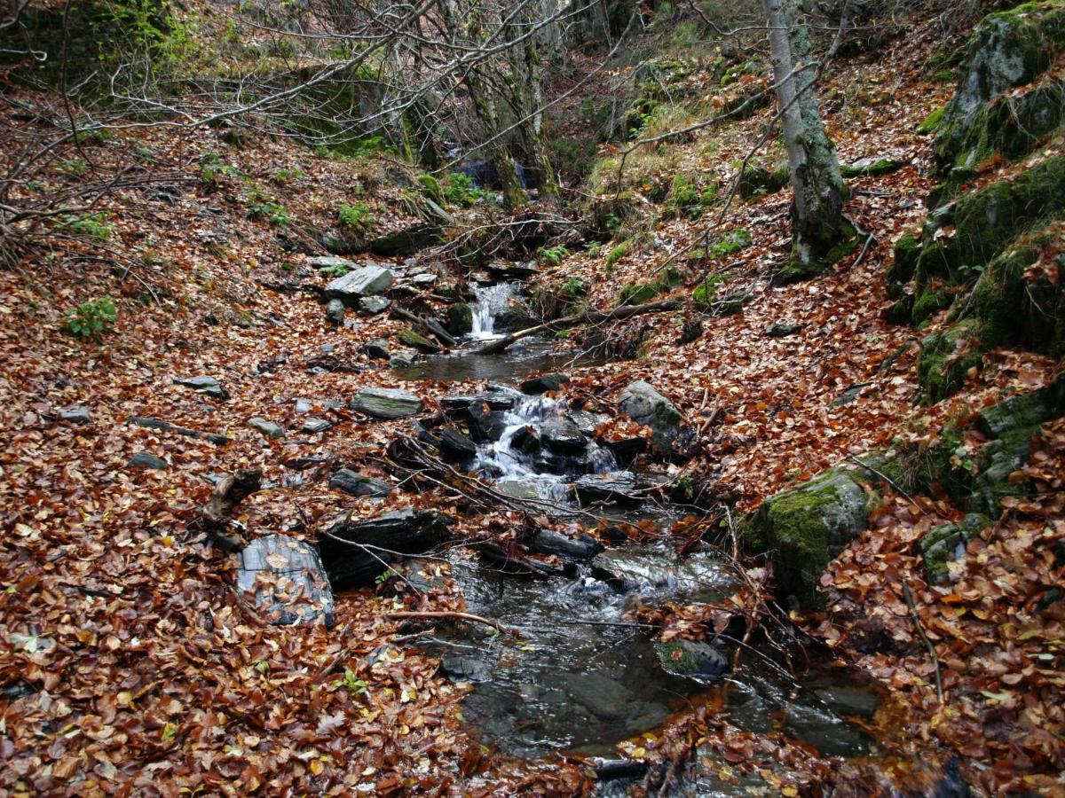 El Huerto De Leon Villa Pradena del Rincon Екстериор снимка